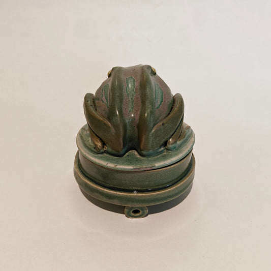 Frog Jar #5