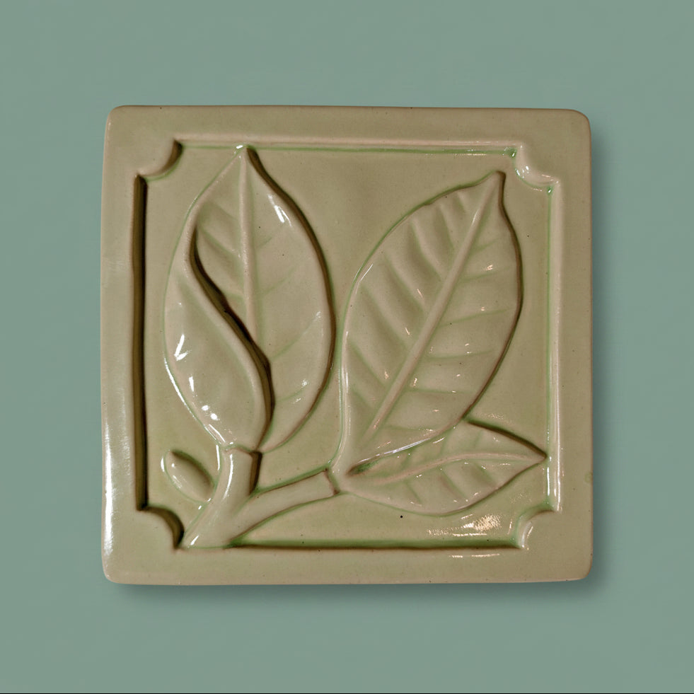 Magnolia Leaf 6x6