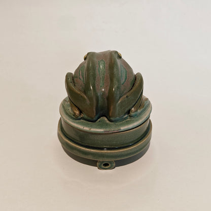 Frog Jar #5