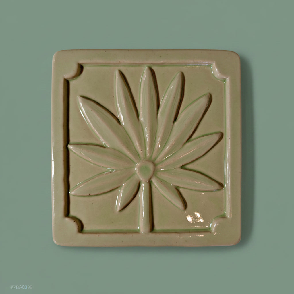 Palmetto 6x6