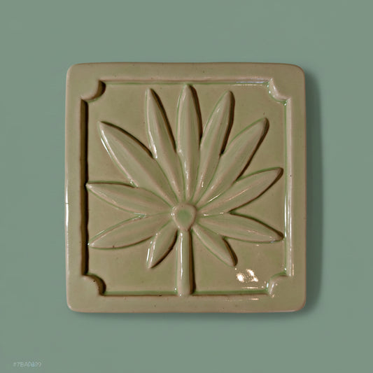 Palmetto 6x6