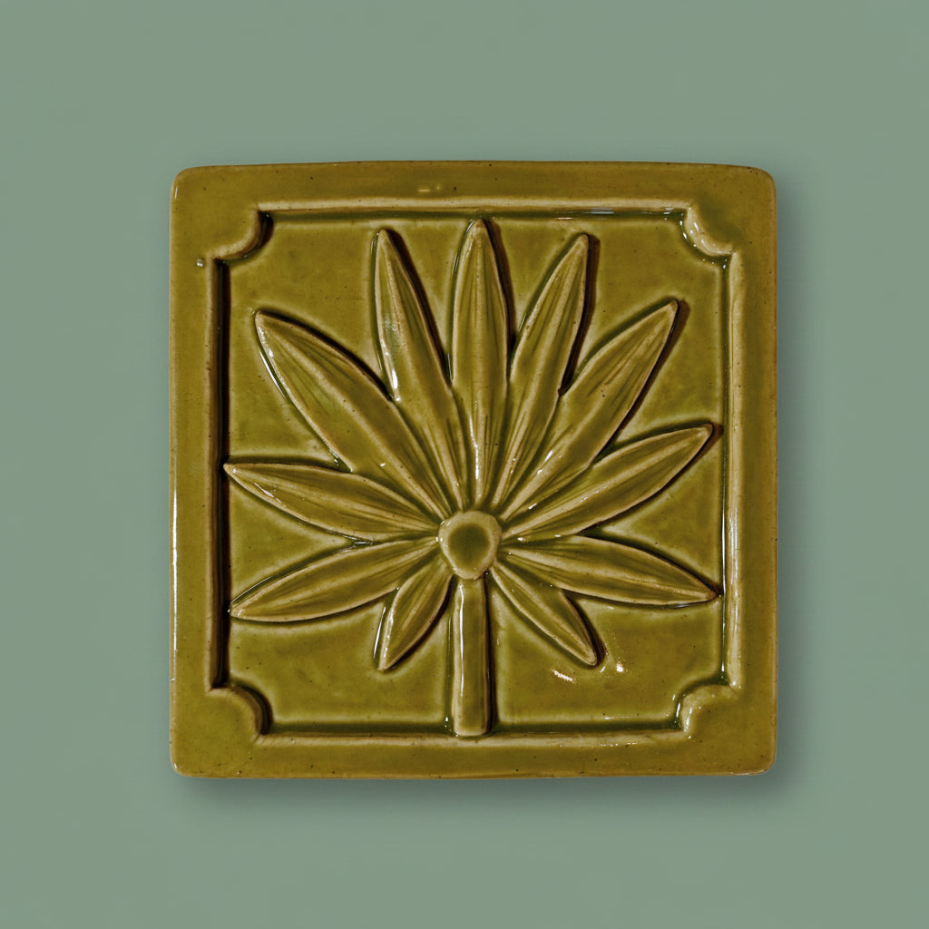 Palmetto 6x6