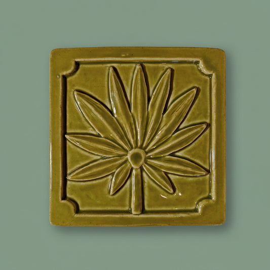 Palmetto 6x6