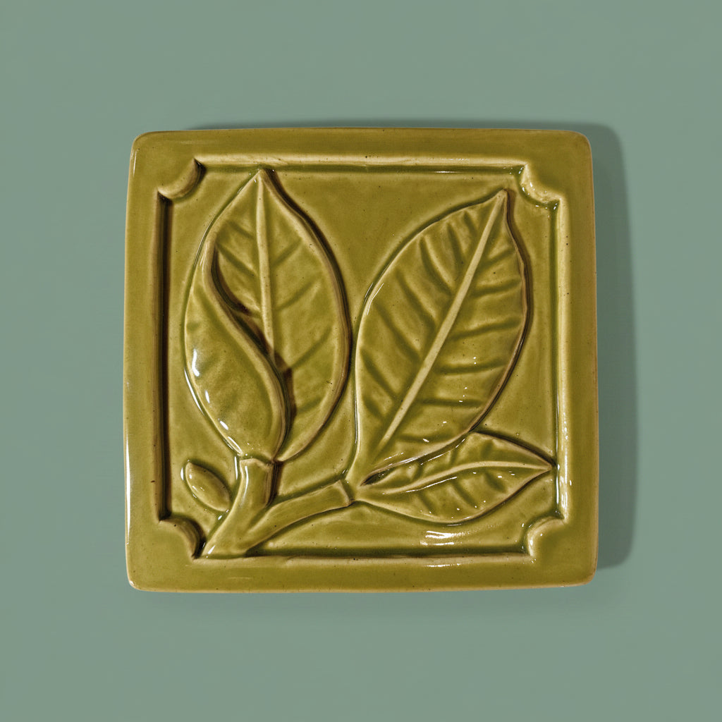 Magnolia Leaf 6x6