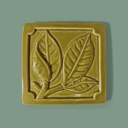 Magnolia Leaf 6x6